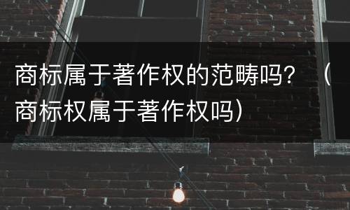 商标属于著作权的范畴吗？（商标权属于著作权吗）