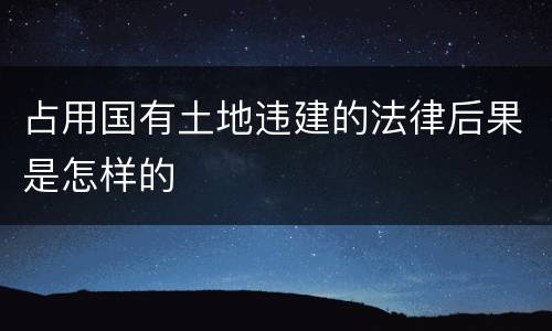 占用国有土地违建的法律后果是怎样的