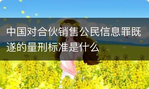 中国对合伙销售公民信息罪既遂的量刑标准是什么