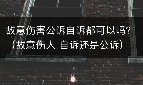 故意伤害公诉自诉都可以吗？（故意伤人 自诉还是公诉）