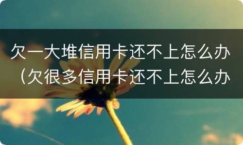 欠一大堆信用卡还不上怎么办（欠很多信用卡还不上怎么办）