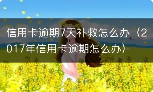 信用卡逾期7天补救怎么办（2017年信用卡逾期怎么办）