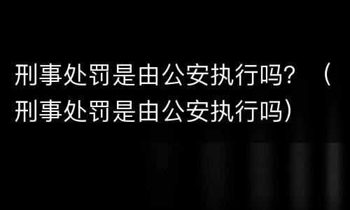 刑事处罚是由公安执行吗？（刑事处罚是由公安执行吗）