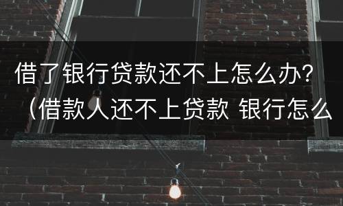 借了银行贷款还不上怎么办？（借款人还不上贷款 银行怎么办）