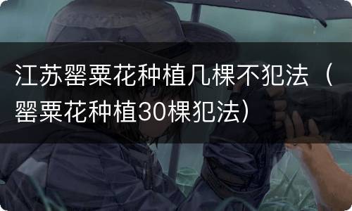 江苏罂粟花种植几棵不犯法（罂粟花种植30棵犯法）