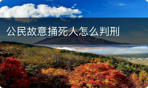 公民故意捅死人怎么判刑