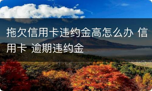拖欠信用卡违约金高怎么办 信用卡 逾期违约金