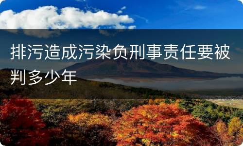 排污造成污染负刑事责任要被判多少年