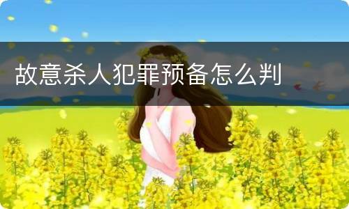 故意杀人犯罪预备怎么判