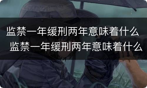 监禁一年缓刑两年意味着什么 监禁一年缓刑两年意味着什么呢