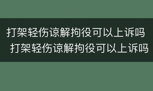 打架轻伤谅解拘役可以上诉吗 打架轻伤谅解拘役可以上诉吗