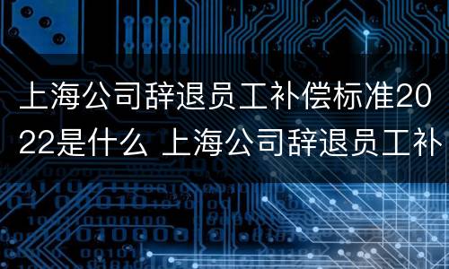 上海公司辞退员工补偿标准2022是什么 上海公司辞退员工补偿标准2022是什么意思