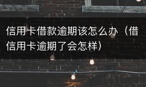 信用卡借款逾期该怎么办（借信用卡逾期了会怎样）