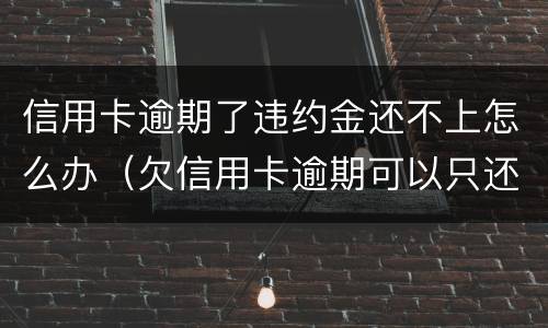 信用卡逾期了违约金还不上怎么办（欠信用卡逾期可以只还本金吗）