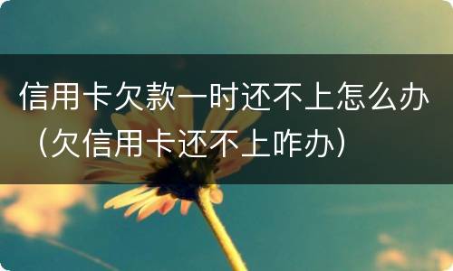 信用卡欠款一时还不上怎么办（欠信用卡还不上咋办）