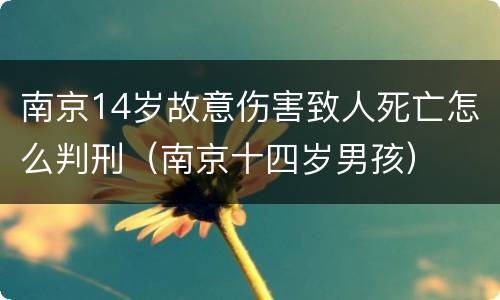 南京14岁故意伤害致人死亡怎么判刑（南京十四岁男孩）