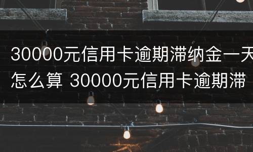 30000元信用卡逾期滞纳金一天怎么算 30000元信用卡逾期滞纳金一天怎么算呢