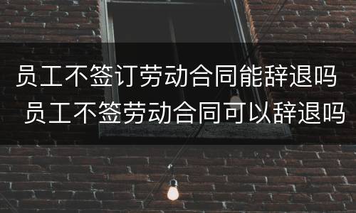 员工不签订劳动合同能辞退吗 员工不签劳动合同可以辞退吗