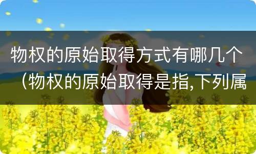 物权的原始取得方式有哪几个（物权的原始取得是指,下列属于物权）