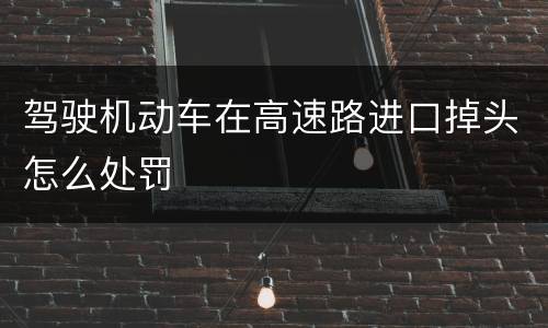 驾驶机动车在高速路进口掉头怎么处罚
