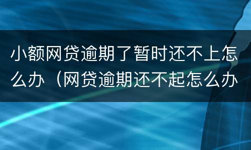 小额网贷逾期了暂时还不上怎么办（网贷逾期还不起怎么办）