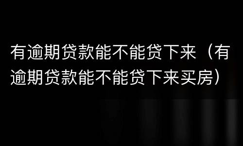 有逾期贷款能不能贷下来（有逾期贷款能不能贷下来买房）