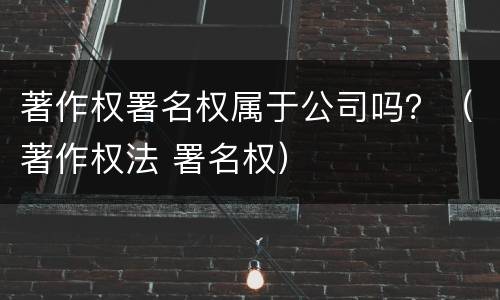 著作权署名权属于公司吗？（著作权法 署名权）