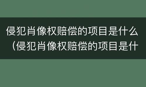 侵犯肖像权赔偿的项目是什么（侵犯肖像权赔偿的项目是什么类型）