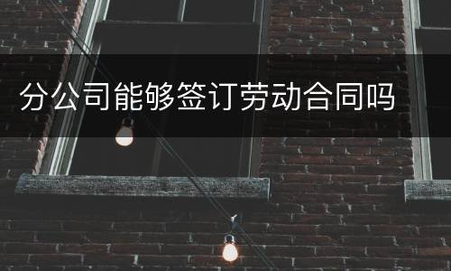 分公司能够签订劳动合同吗