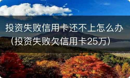 投资失败信用卡还不上怎么办（投资失败欠信用卡25万）