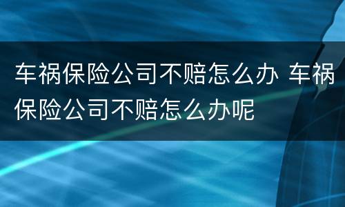 车祸保险公司不赔怎么办 车祸保险公司不赔怎么办呢