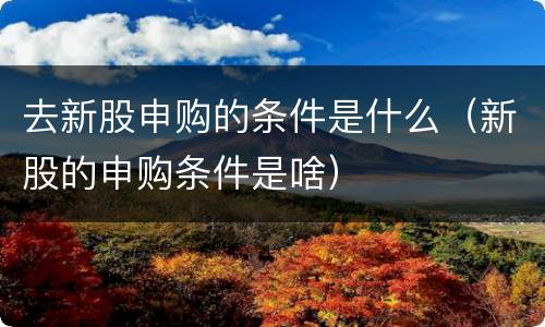 去新股申购的条件是什么（新股的申购条件是啥）