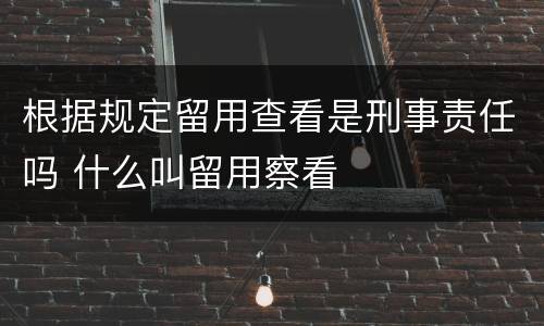 根据规定留用查看是刑事责任吗 什么叫留用察看
