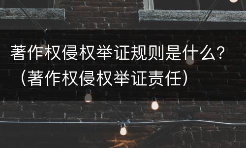 著作权侵权举证规则是什么？（著作权侵权举证责任）