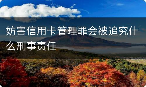 妨害信用卡管理罪会被追究什么刑事责任