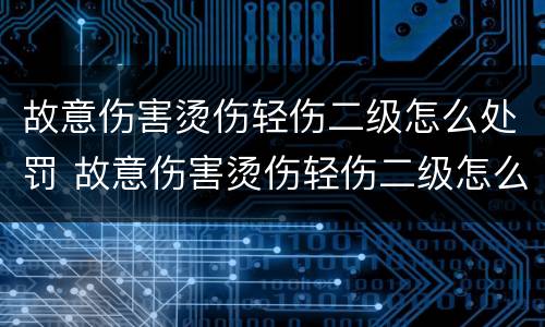 故意伤害烫伤轻伤二级怎么处罚 故意伤害烫伤轻伤二级怎么处罚的