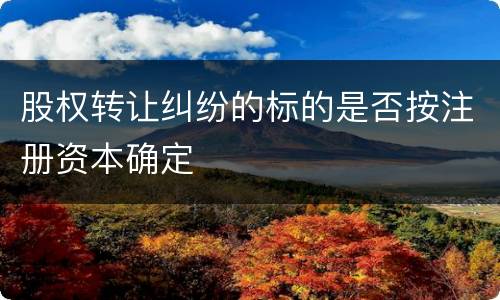 股权转让纠纷的标的是否按注册资本确定