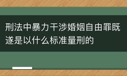 刑法中暴力干涉婚姻自由罪既遂是以什么标准量刑的