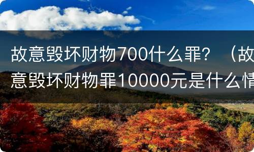 故意毁坏财物700什么罪？（故意毁坏财物罪10000元是什么情节）