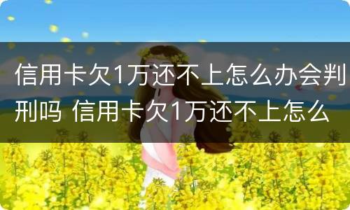 信用卡欠1万还不上怎么办会判刑吗 信用卡欠1万还不上怎么办会判刑吗知乎