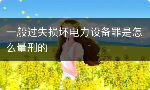 一般过失损坏电力设备罪是怎么量刑的