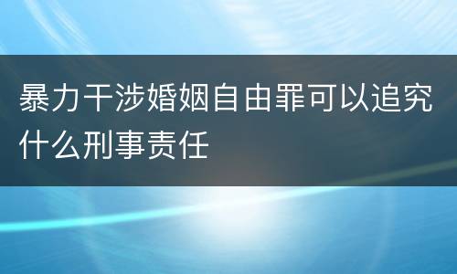 暴力干涉婚姻自由罪可以追究什么刑事责任