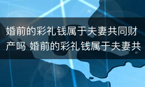 婚前的彩礼钱属于夫妻共同财产吗 婚前的彩礼钱属于夫妻共同财产吗