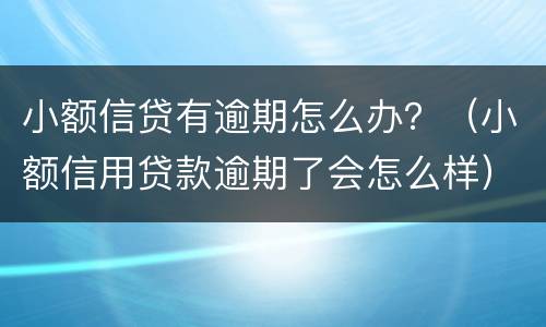 小额信贷有逾期怎么办？（小额信用贷款逾期了会怎么样）