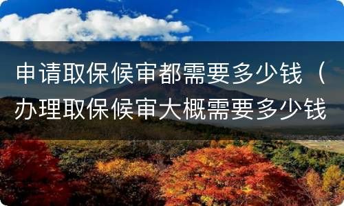 申请取保候审都需要多少钱（办理取保候审大概需要多少钱）