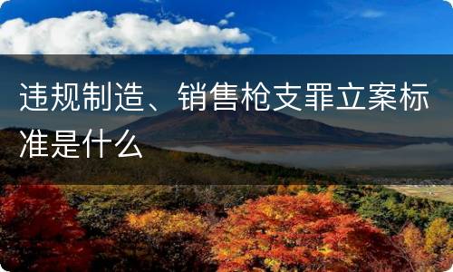 违规制造、销售枪支罪立案标准是什么