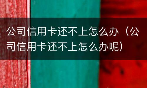 公司信用卡还不上怎么办（公司信用卡还不上怎么办呢）