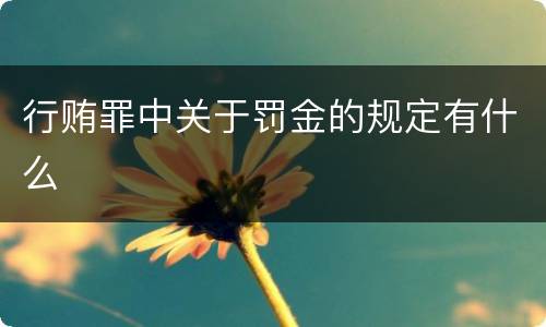 行贿罪中关于罚金的规定有什么