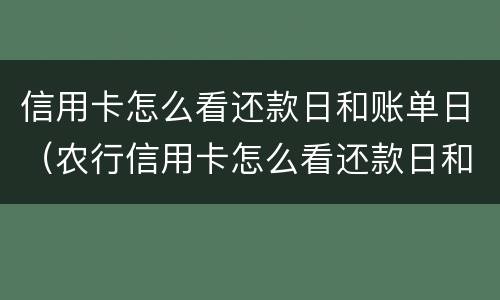 信用卡怎么看还款日和账单日（农行信用卡怎么看还款日和账单日）