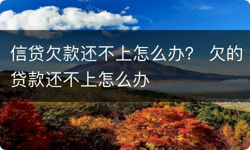 信贷欠款还不上怎么办？ 欠的贷款还不上怎么办